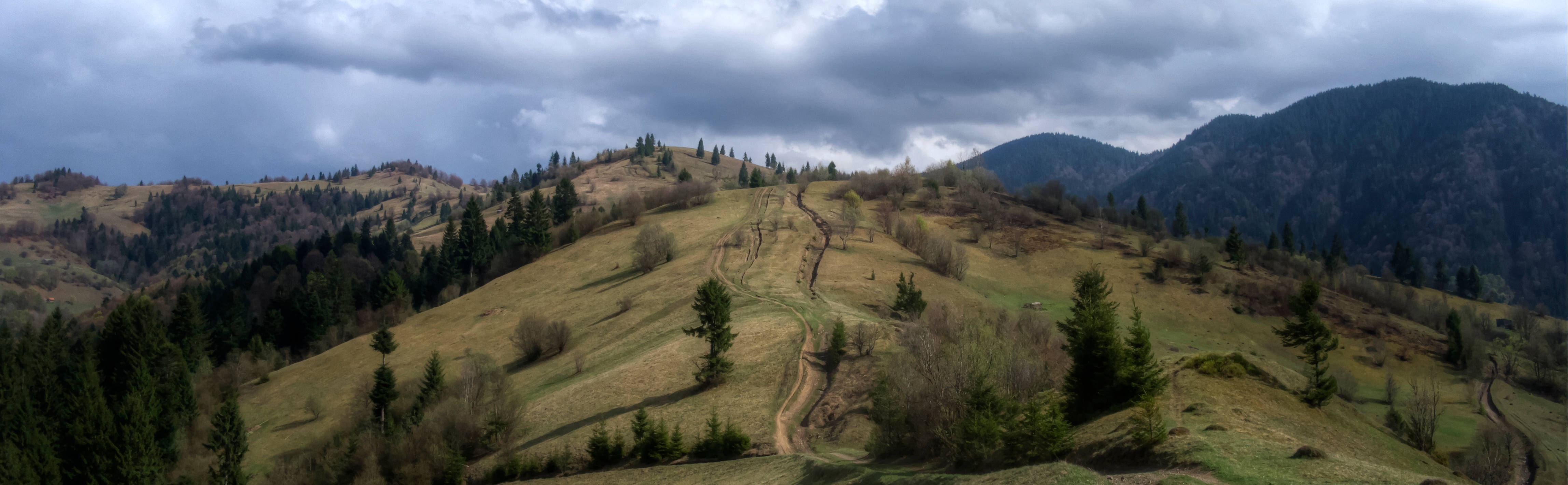 Header Image - Join Carpathian Permaculture Network